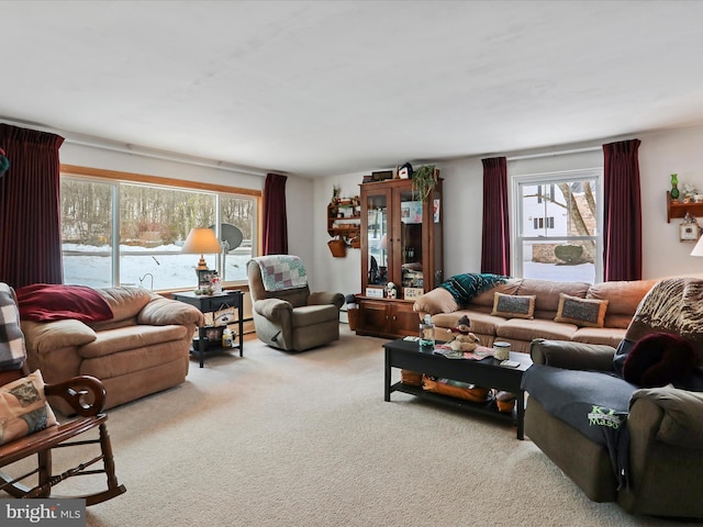 living room with light carpet