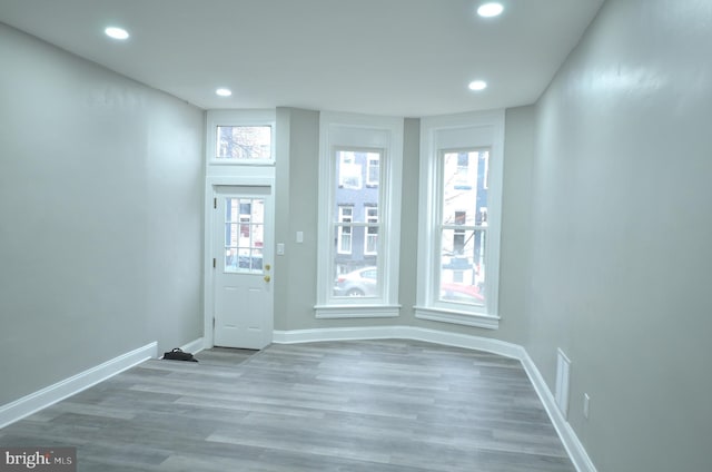 foyer with wood-type flooring