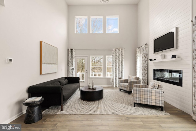 living room with a high ceiling, a fireplace, and hardwood / wood-style flooring