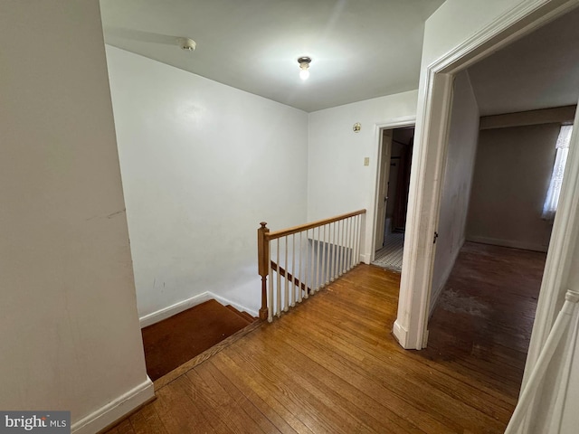 stairs featuring wood-type flooring