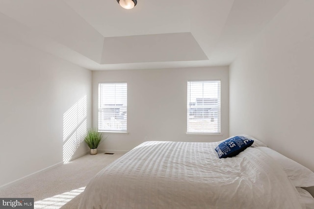 bedroom with carpet flooring, a raised ceiling, and multiple windows