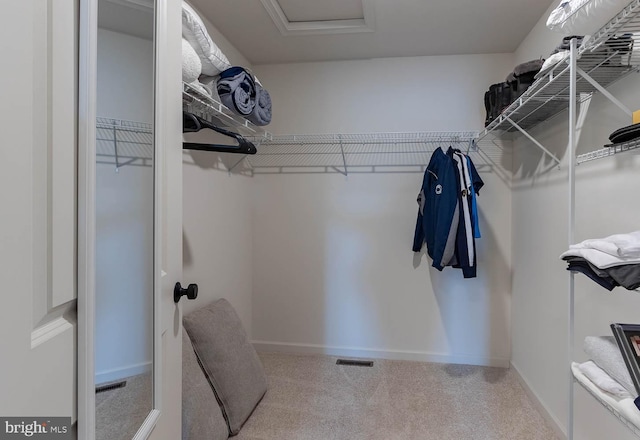 walk in closet with light colored carpet