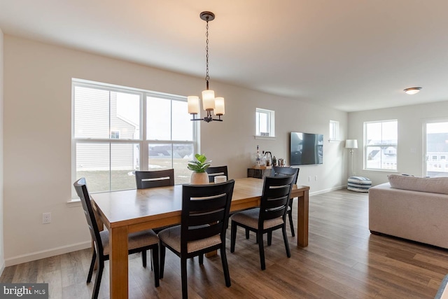 dining room with a wealth of natural light, hardwood / wood-style floors, and an inviting chandelier