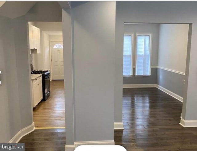 hall featuring dark wood-type flooring