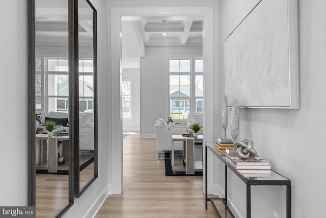 corridor featuring coffered ceiling, light hardwood / wood-style floors, and beamed ceiling