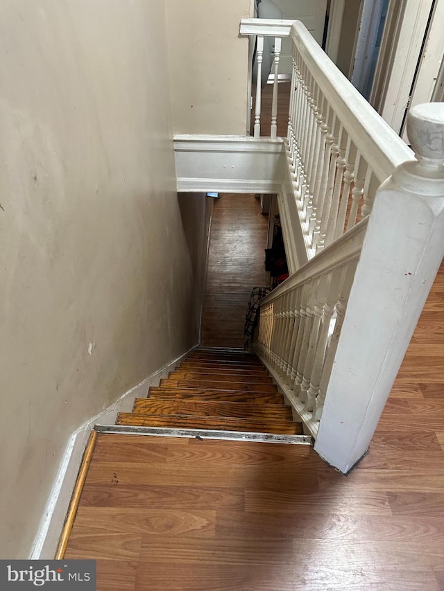 staircase with hardwood / wood-style floors