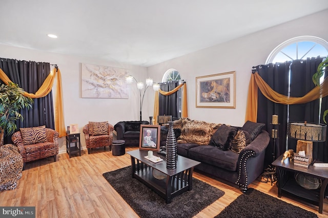 living room with hardwood / wood-style flooring