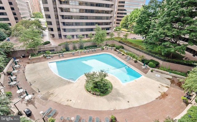 view of pool featuring a patio area