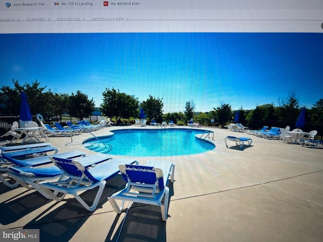 view of swimming pool featuring a patio