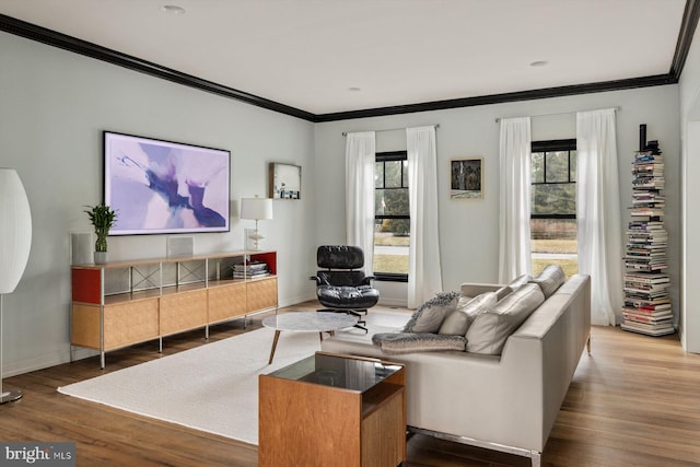 living room with wood-type flooring and ornamental molding