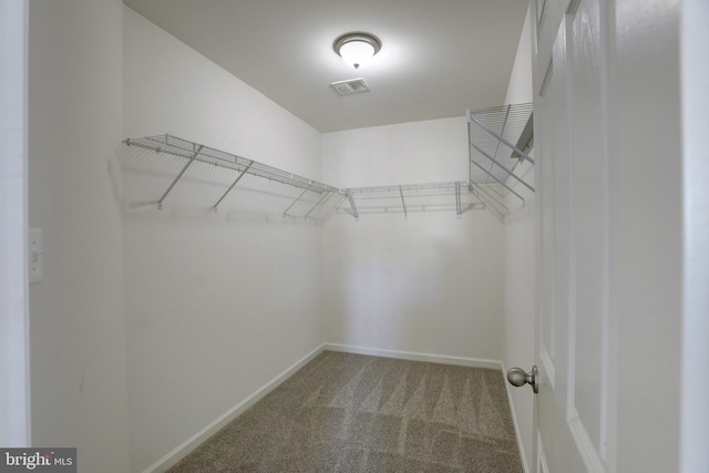 walk in closet with carpet floors