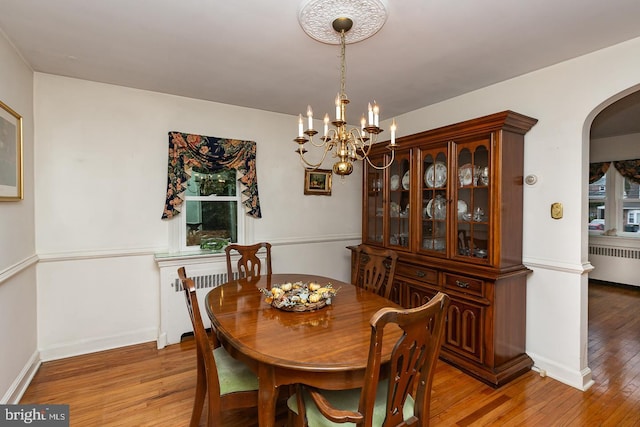 dining area with radiator and hardwood / wood-style flooring