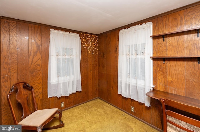 living area with wooden walls and light colored carpet