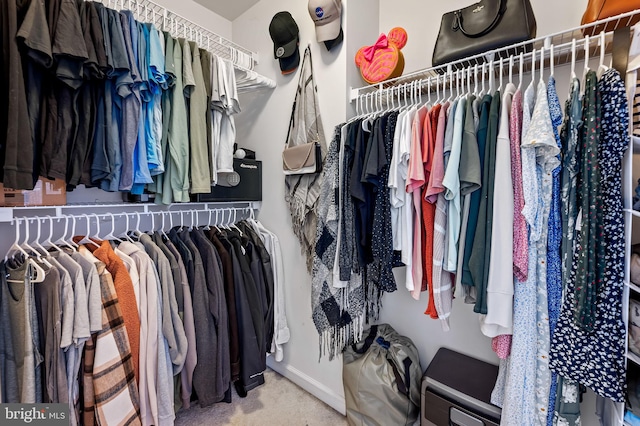 spacious closet featuring carpet flooring