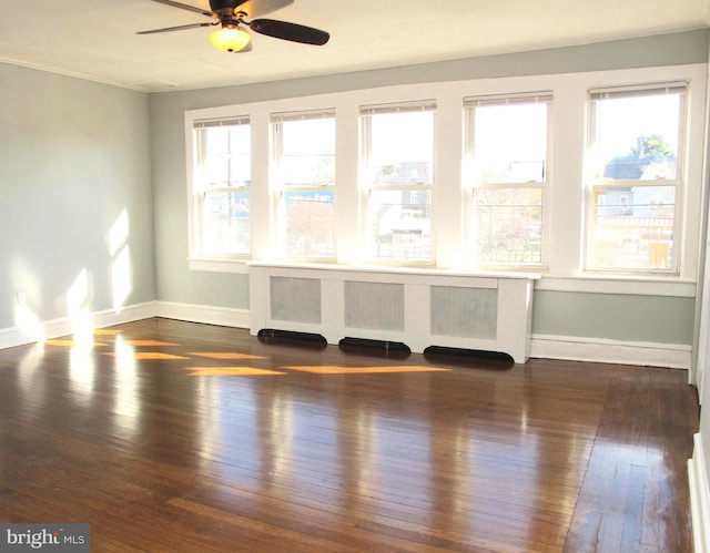 interior space featuring ceiling fan and dark hardwood / wood-style floors