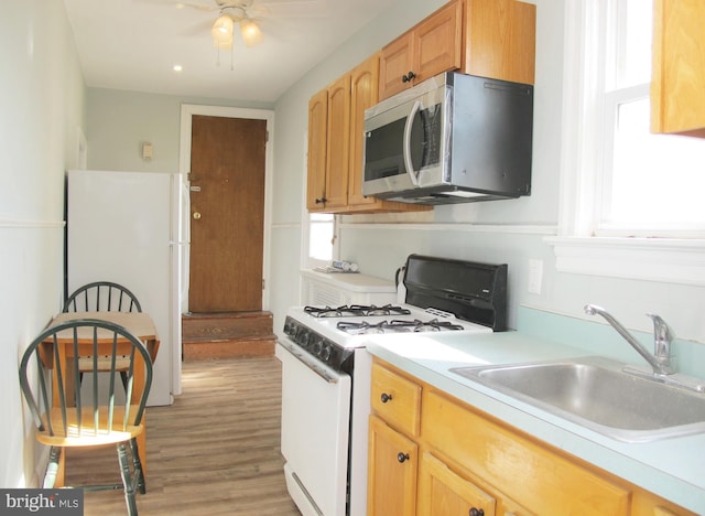 kitchen with white appliances, ceiling fan, light hardwood / wood-style floors, and sink