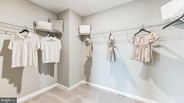 walk in closet featuring carpet