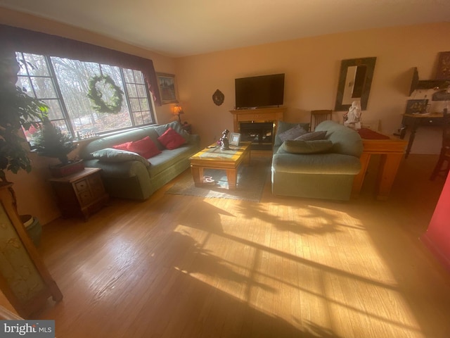 living room featuring light hardwood / wood-style flooring