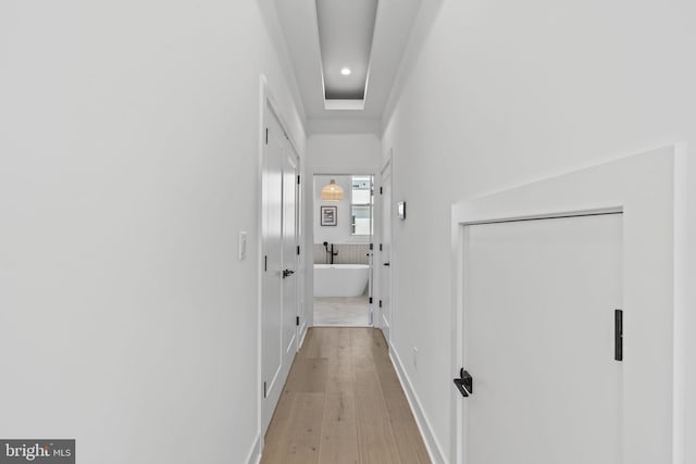 hallway featuring a raised ceiling and light hardwood / wood-style flooring