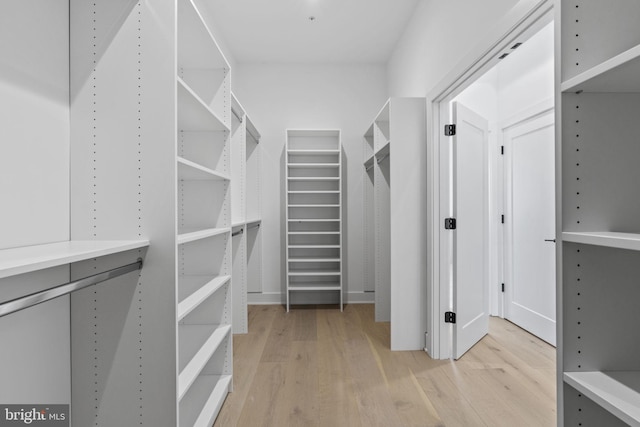 spacious closet featuring light wood-type flooring