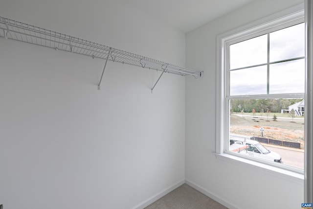 spacious closet featuring carpet floors