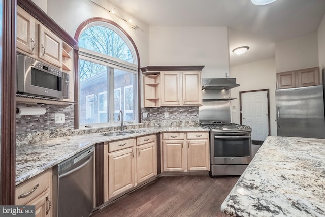 kitchen featuring sink, appliances with stainless steel finishes, exhaust hood, and tasteful backsplash