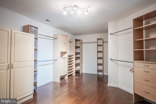 walk in closet featuring dark wood-type flooring