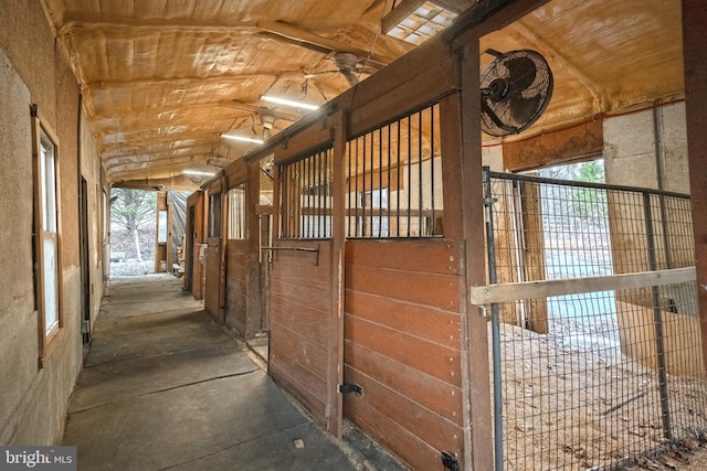 view of horse barn