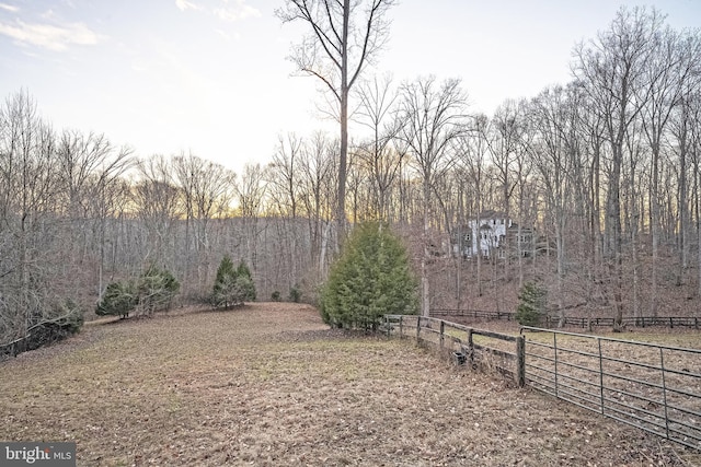 view of yard featuring a rural view