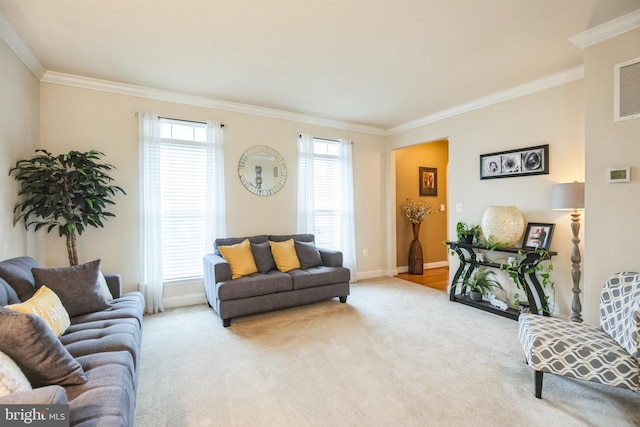 carpeted living room with crown molding