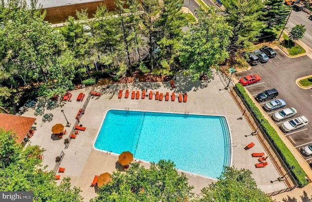 view of swimming pool with a patio area