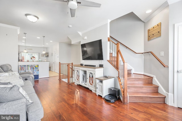 living room featuring ceiling fan, crown molding, and dark wood-type flooring