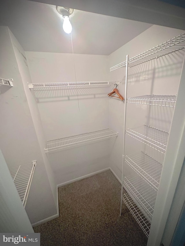 spacious closet with carpet flooring