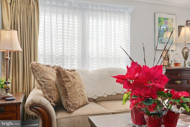 living area with crown molding