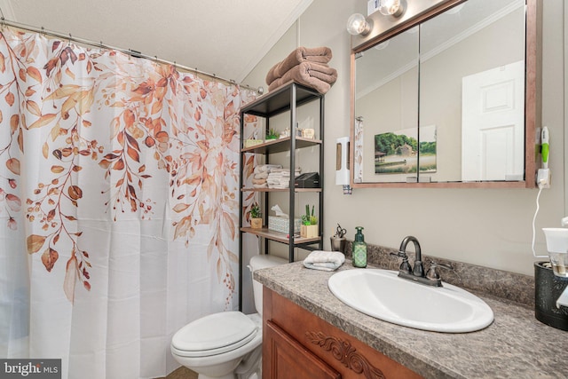 bathroom featuring toilet, vanity, and crown molding