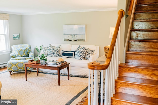 living room featuring crown molding