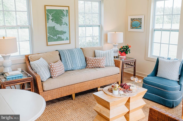 living room featuring hardwood / wood-style floors