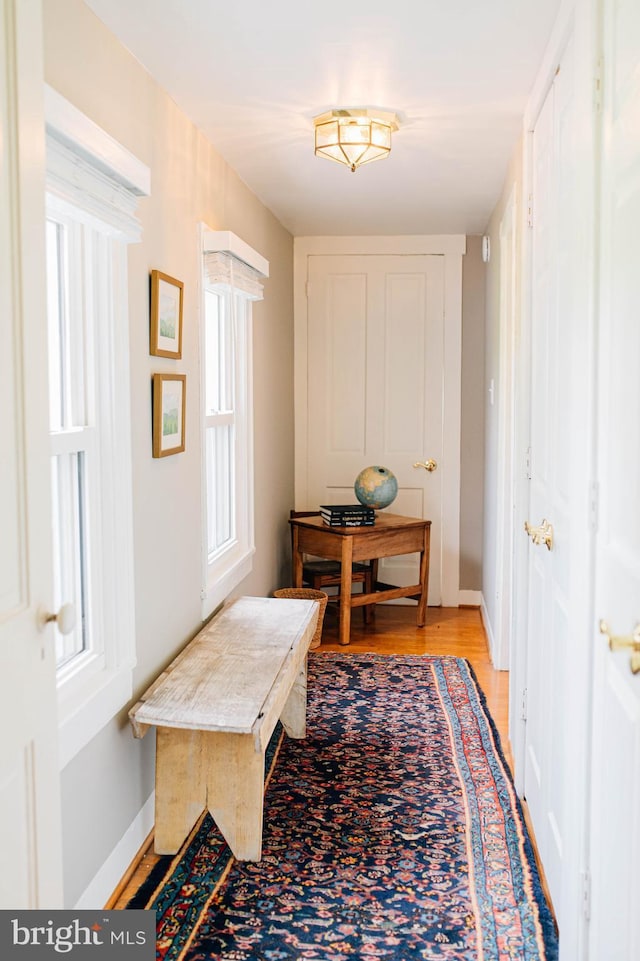 doorway to outside featuring light hardwood / wood-style flooring