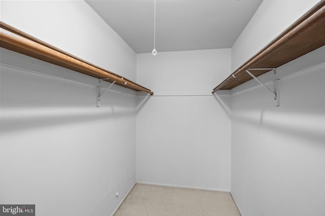 spacious closet featuring light carpet