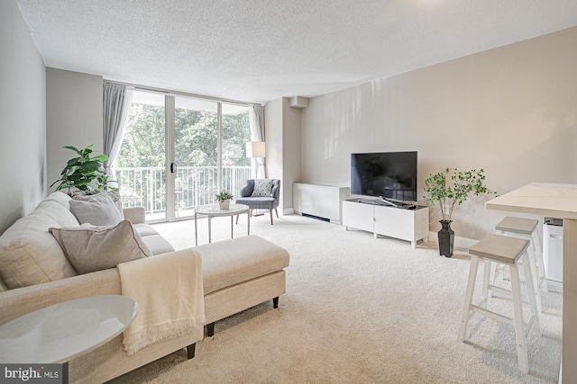 carpeted living room with a wall of windows and a textured ceiling