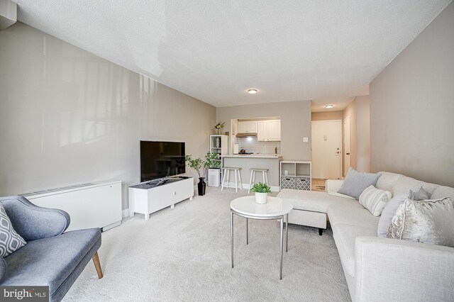 living room with light colored carpet and a textured ceiling