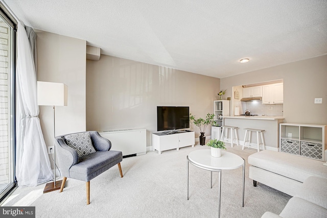 living room with radiator, light colored carpet, and a textured ceiling