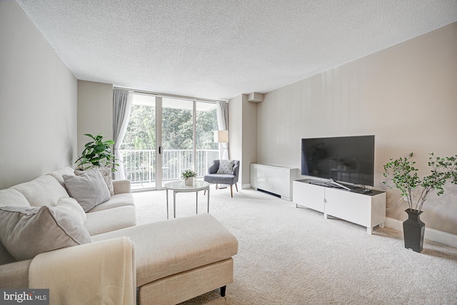 carpeted living room with floor to ceiling windows and a textured ceiling