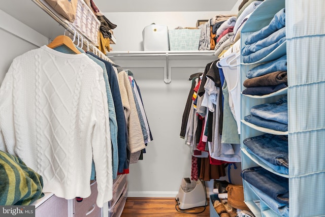 spacious closet featuring wood-type flooring