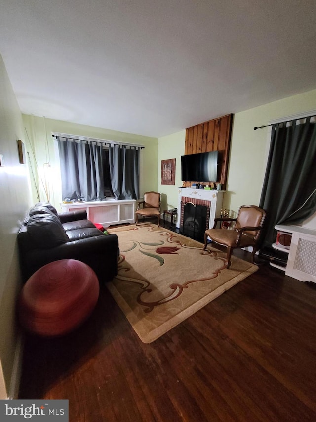 living room featuring a fireplace and dark wood-type flooring