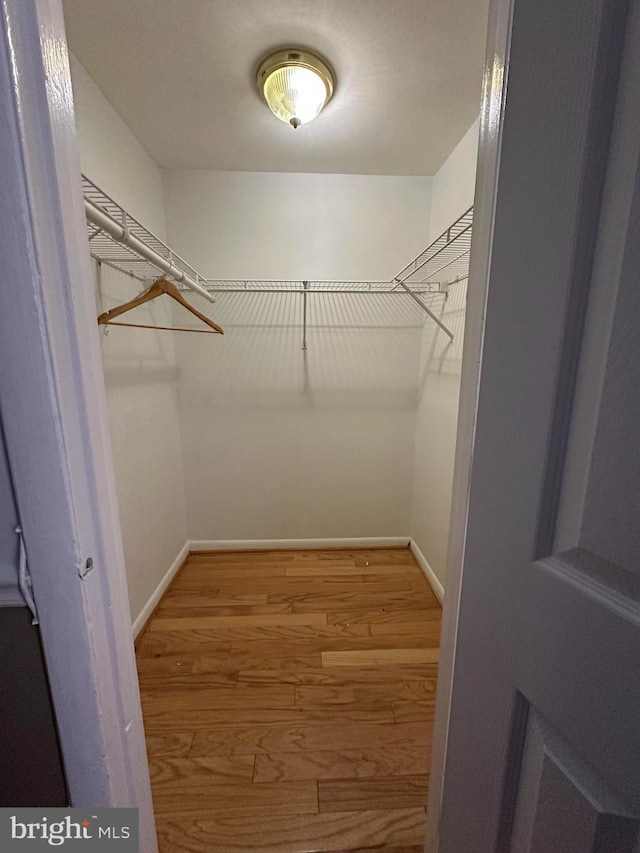 spacious closet featuring hardwood / wood-style flooring