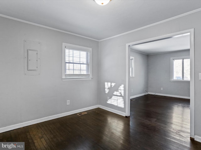 spare room with electric panel, a wealth of natural light, crown molding, and dark hardwood / wood-style floors