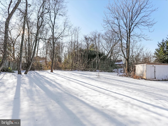 view of snowy yard