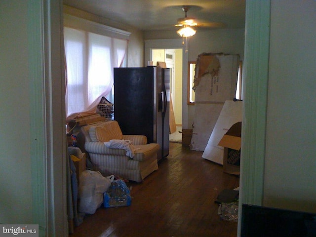 living room featuring ceiling fan and dark hardwood / wood-style floors