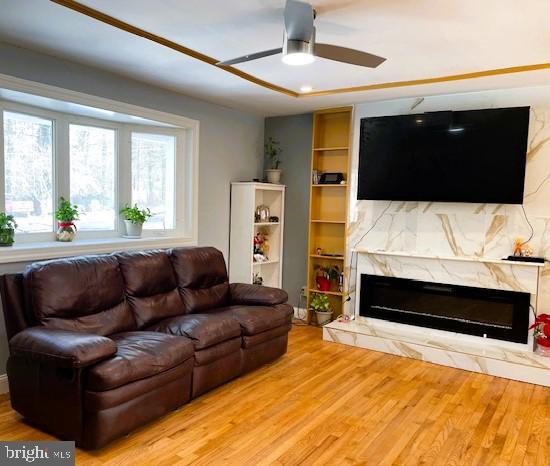 living room featuring light hardwood / wood-style floors and ceiling fan